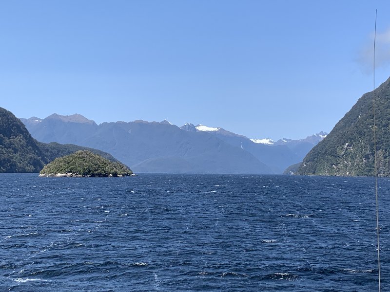 Nueva Zelanda: La primavera Kiwi nos fue marcando la ruta - Blogs de Nueva Zelanda - Queenstown-Manapouri (Doubtful Sound)-TeAnau (4)