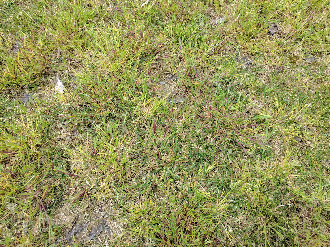 IMG_20170429_124606-min