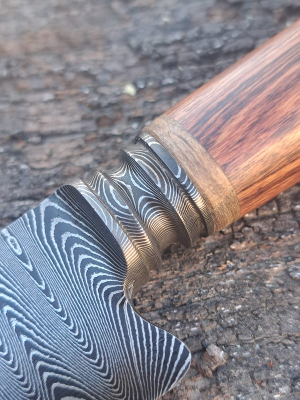 WhatsApp Image 2023-06-06 at 18.51.35 (1)