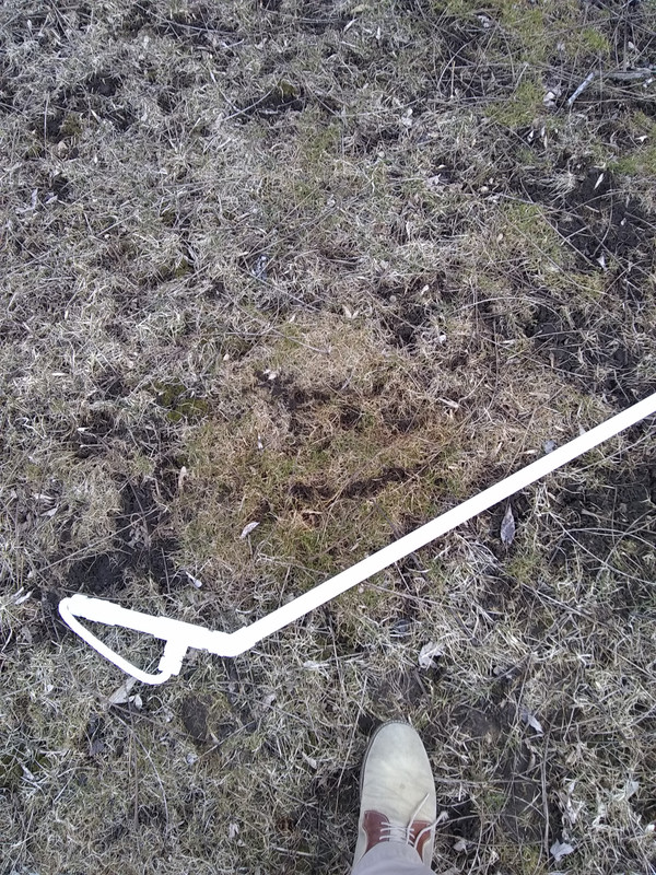 IMG_20180409_162124132