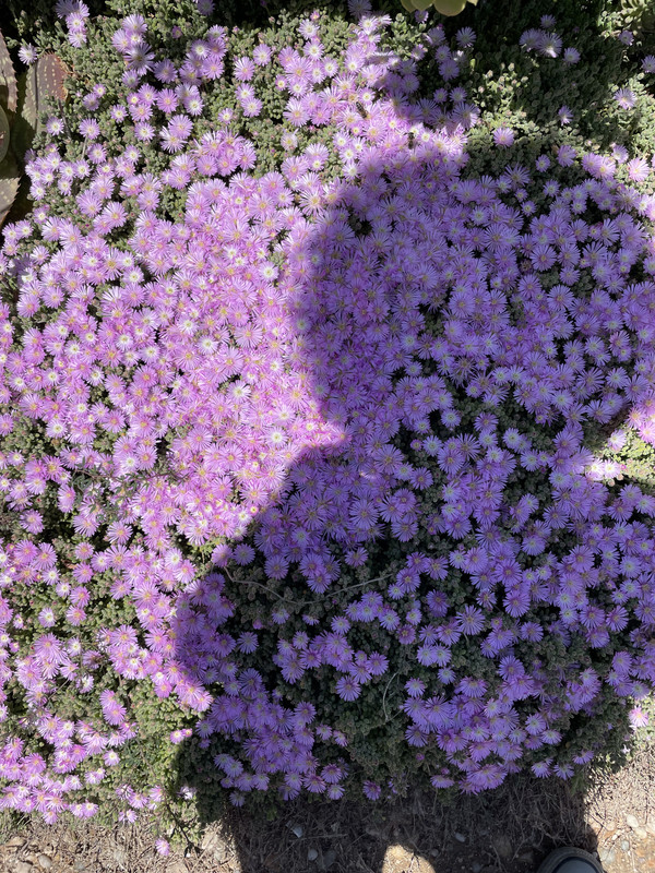 0953F454-D651-4723-B270-9C1F33F64B24