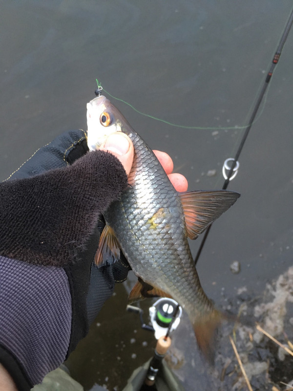 282407D5-B823-4F57-9D9A-55E45B03617E