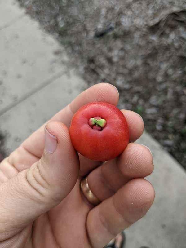 PXL 20251217 235128204