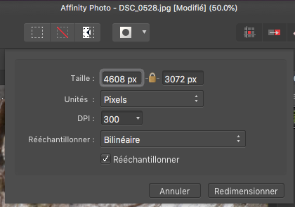 Capture d’écran 2018-06-01 ? 16.12.42