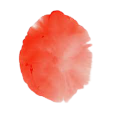 download-26-removebg-preview.png