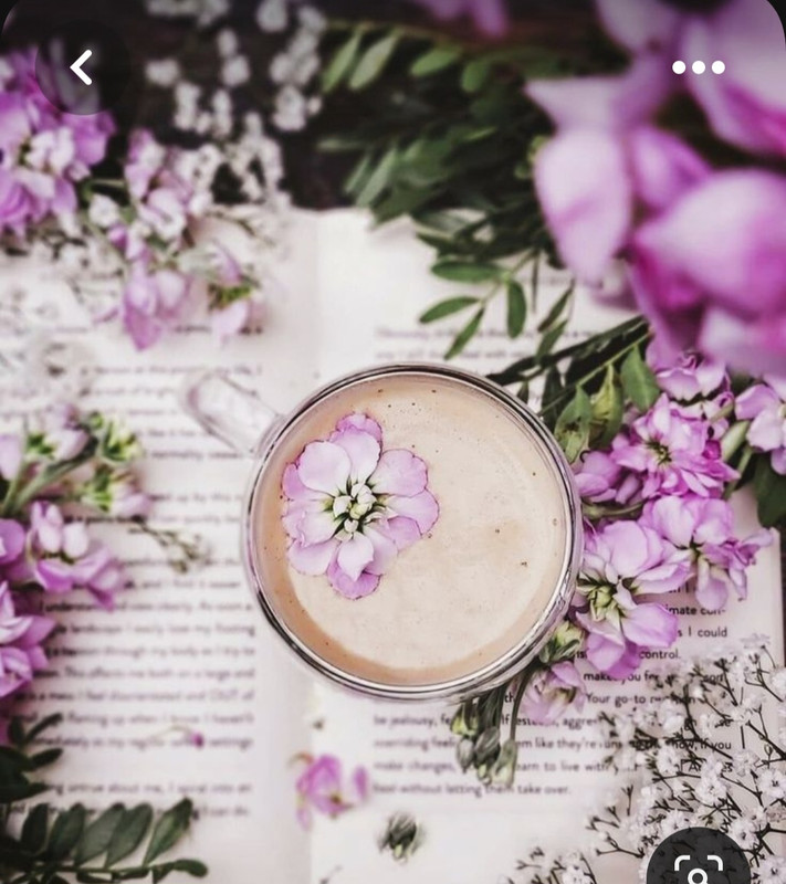 Screenshot_20230808_002426_Pinterest