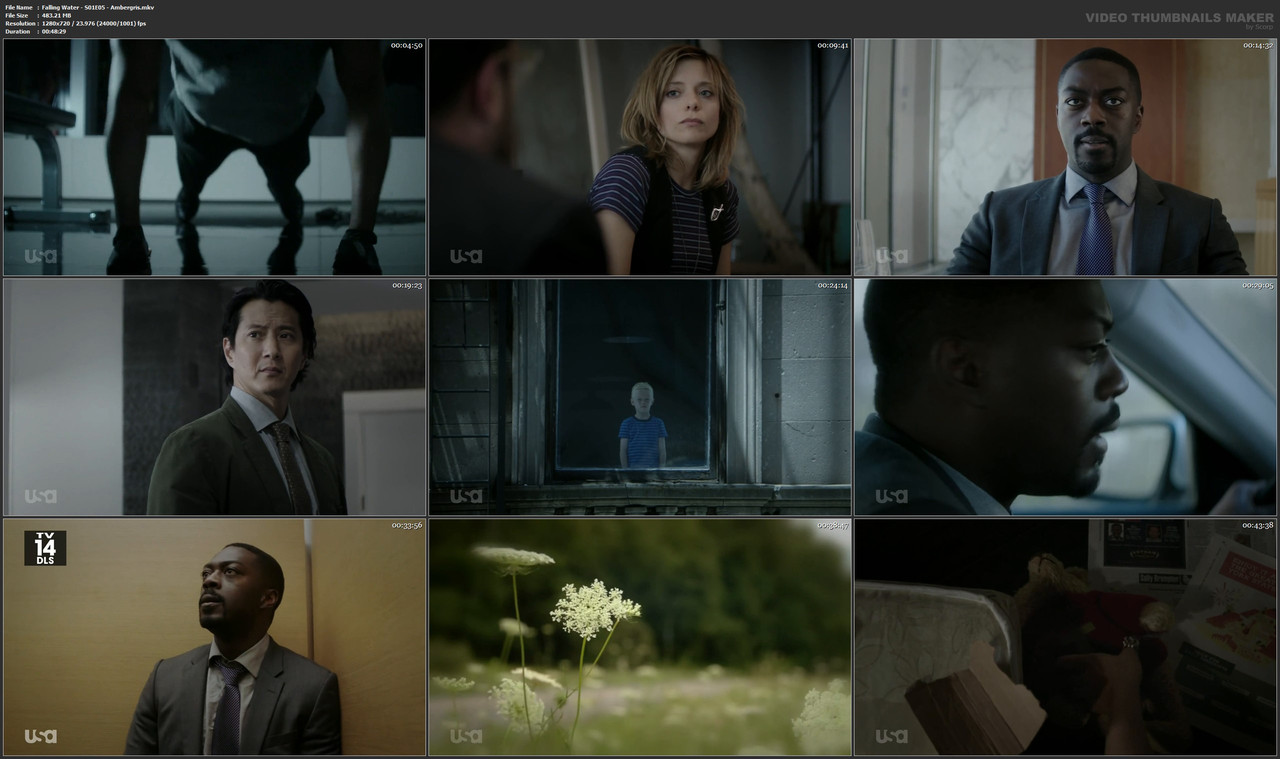 Falling Water - S01E05 - Ambergris.mkv