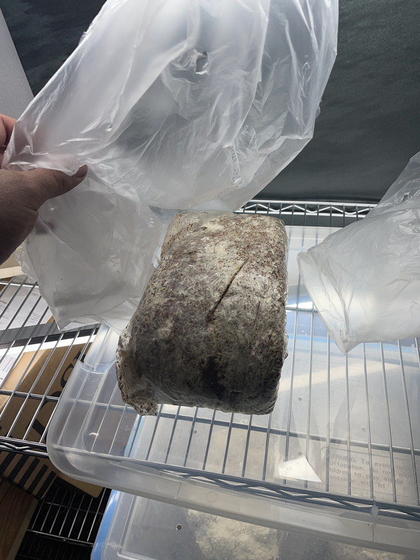 B1A756DF-965B-4466-B8E5-5191B3CF821C