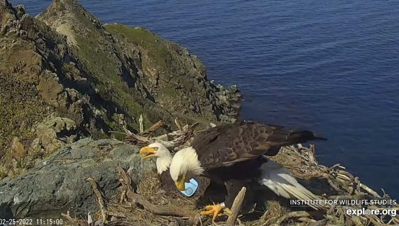 187B438E-3A36-4962-9E5D-8F46FCC52381