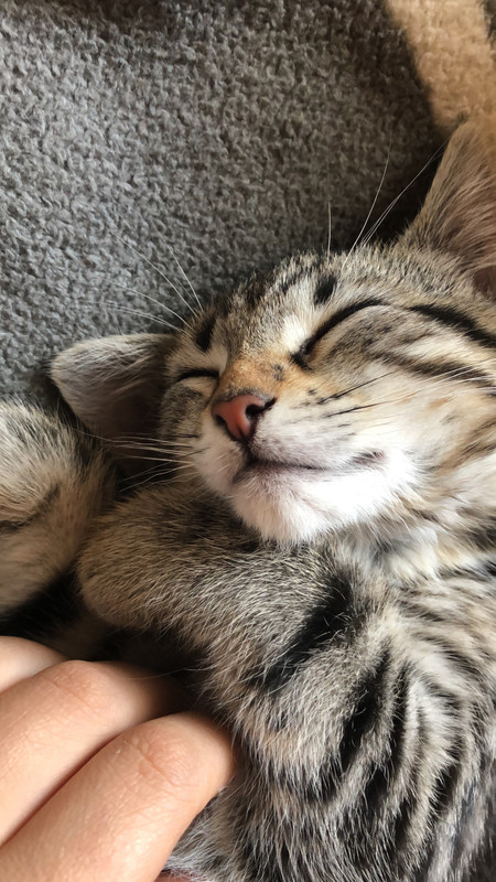 8A9E154A-0E64-4C2D-A57F-B8F1DE7AB8A6