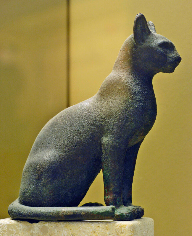 Senckenberg-Katze01