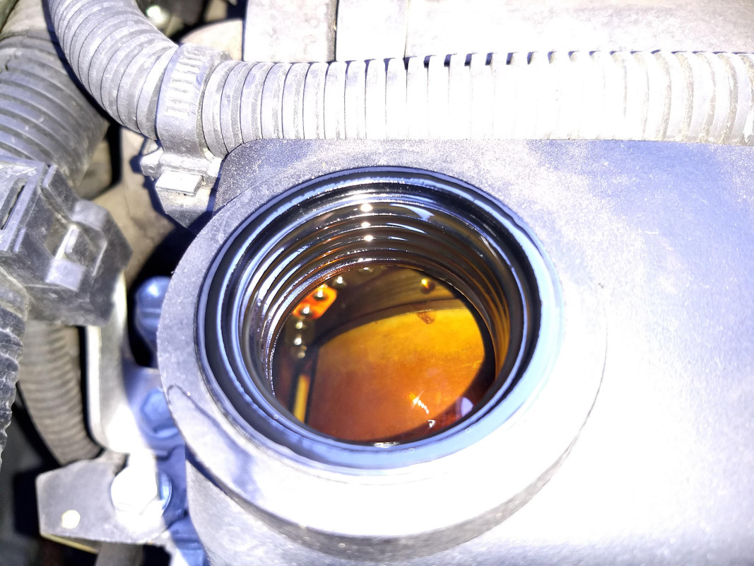 IMG_20181211_093147559