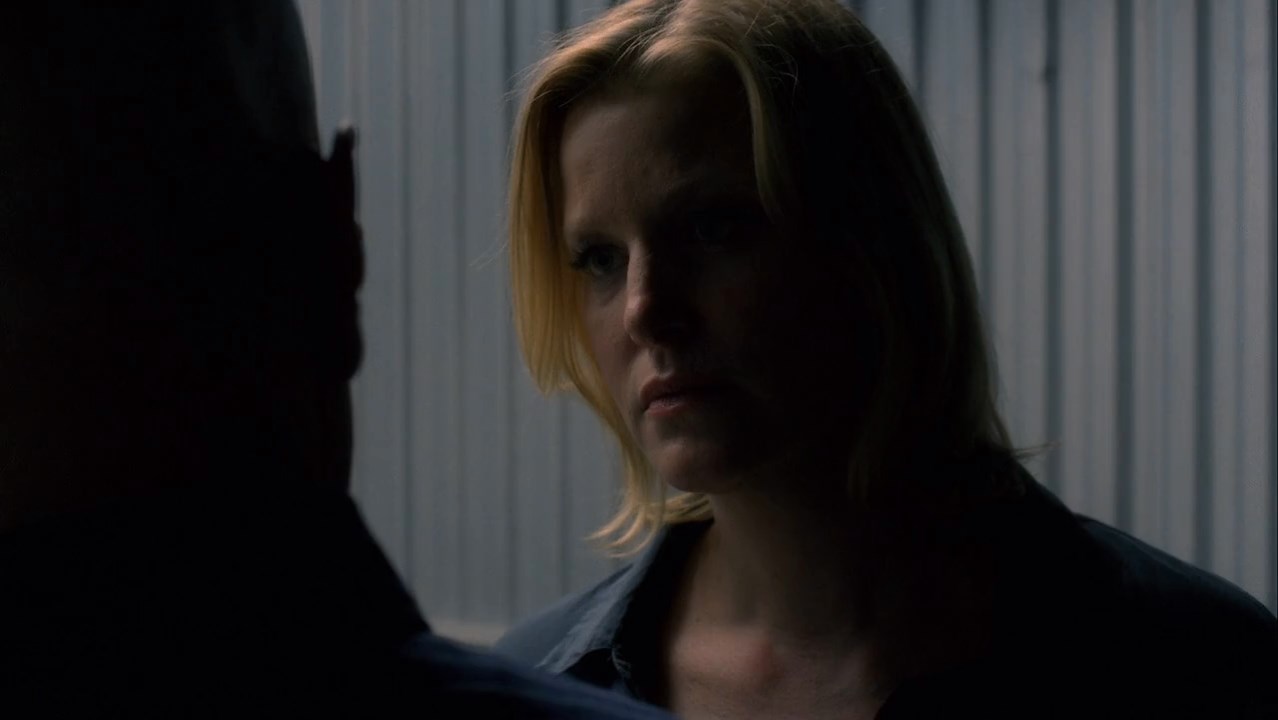 Breaking Bad (2012) Season 5 [Hindi + English] BluRay 480p 720p ESub - Complete Screenshot