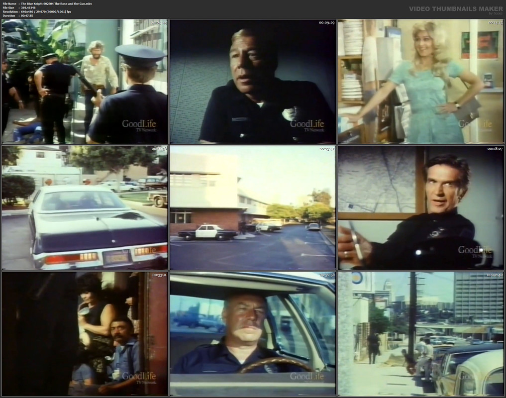 The Blue Knight S02E04 The Rose and the Gun.mkv