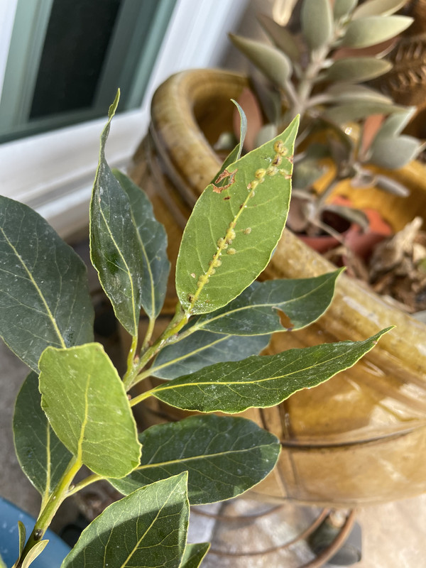 38DA0F22-8FA8-402E-8AD3-AA08C34924DB