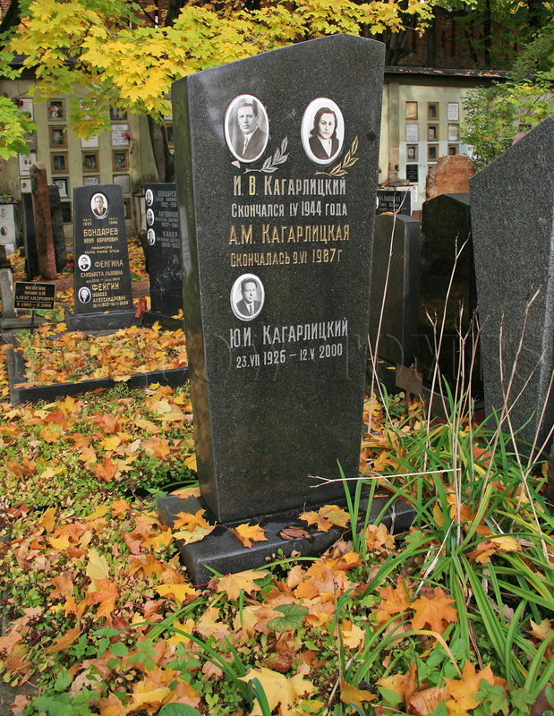kagarlitsky-yi-old