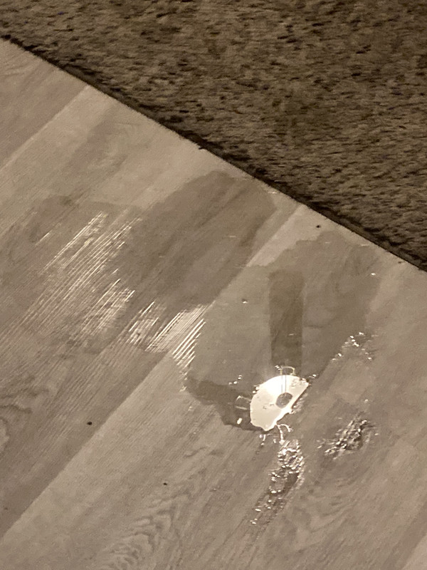 818531ED-5AE8-441F-8343-BDEA0EE848D1