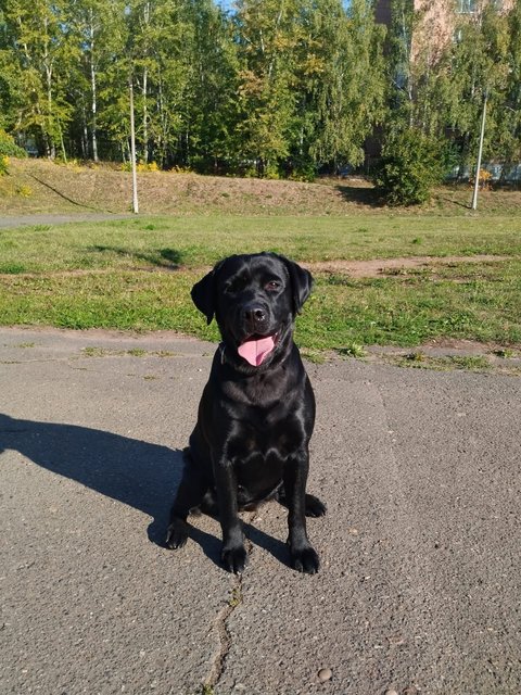 Whats-App-Image-2023-09-25-at-17-40-23.j