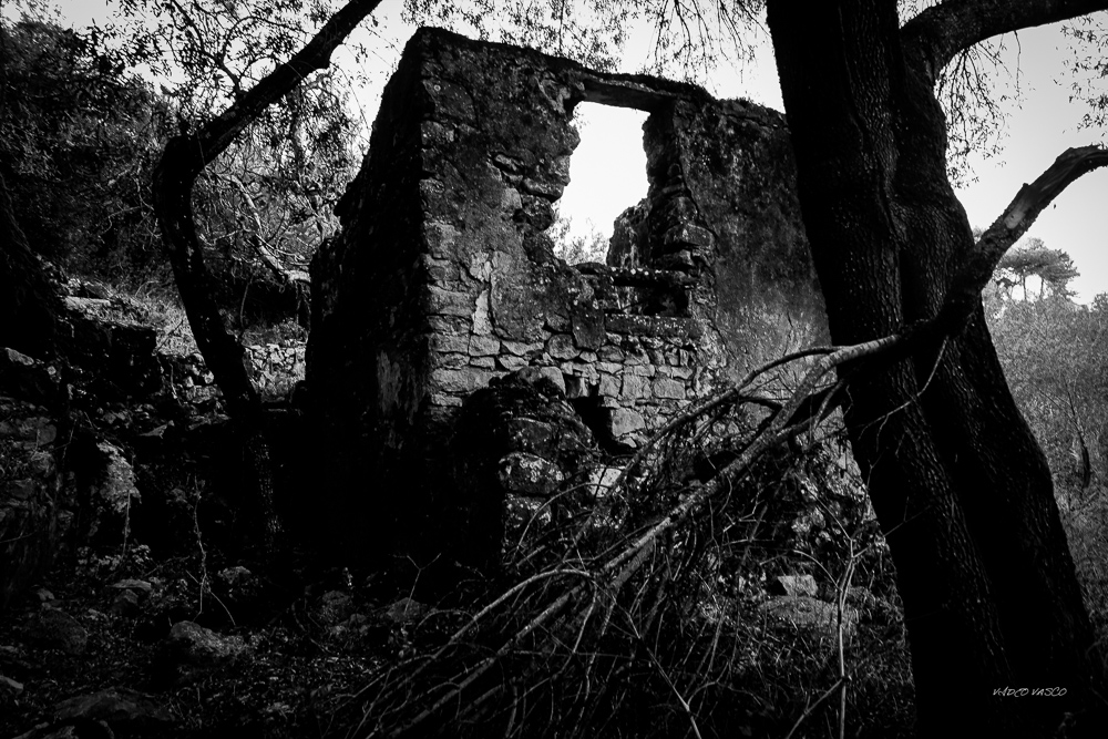 Hive-Vinhas-Ruins-Bn-W-07.jpg