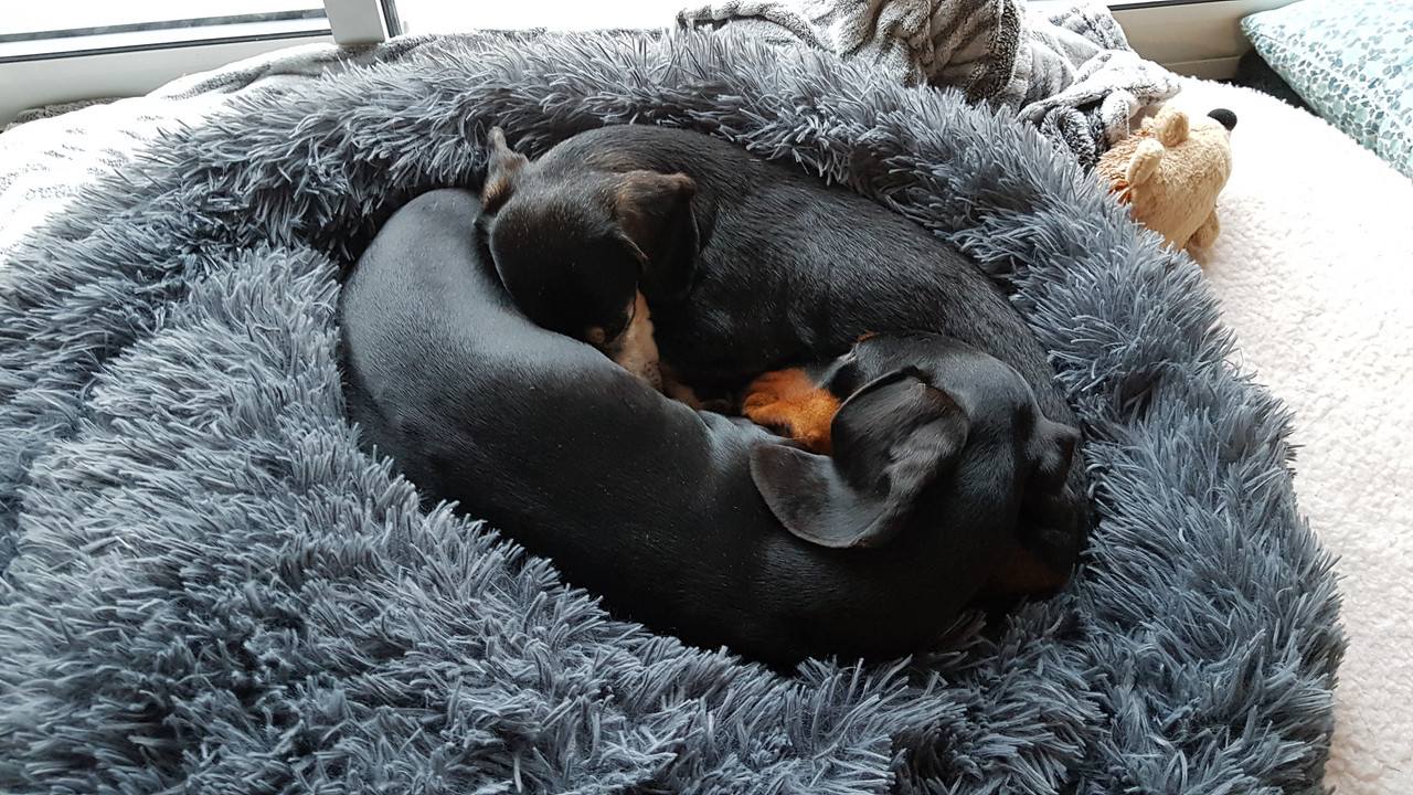 [Image: 20201120-081404.jpg]