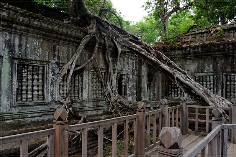 Angkor III. Beng Mealea y traslado a Phnom Penh. - De la bahía de Halong a los templos de Angkor (4)