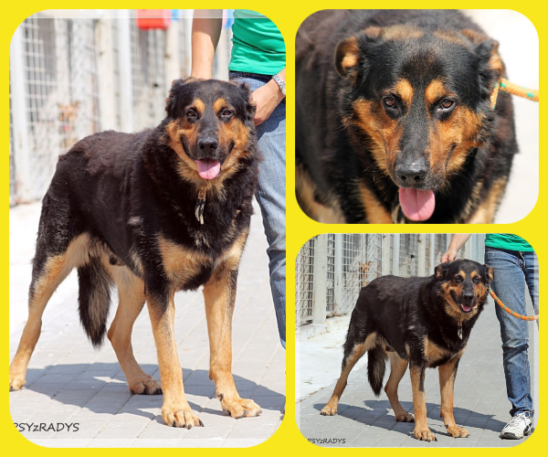 BeFunky-collage (16)