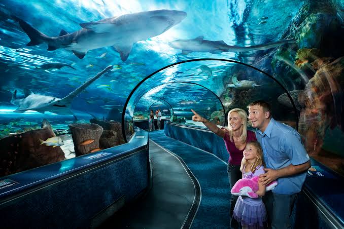 Ripley's Aquarium Myrtle Beach
