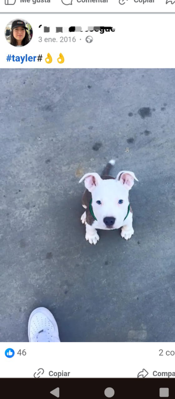 Screenshot_20250504-194635