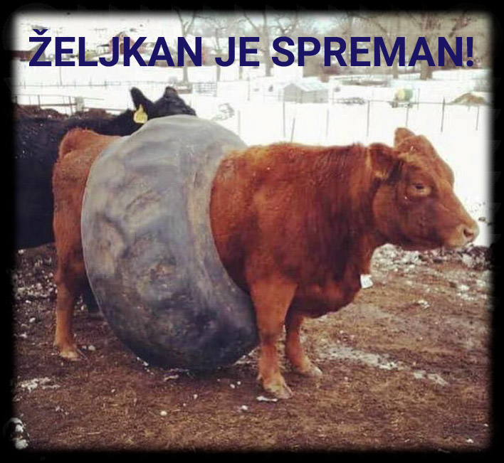 slika