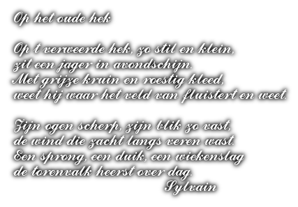 De-toren-valk-gedicht