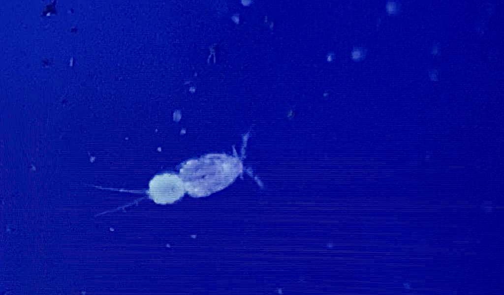 865C9A27-280F-4EB3-B995-41668DE3DDDD