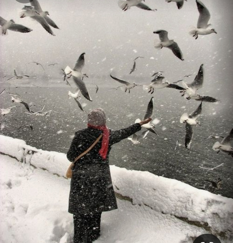 Screenshot_20230327_234225_Pinterest