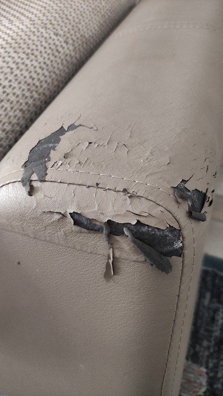 CANAPEA MOBEXPERT (2)