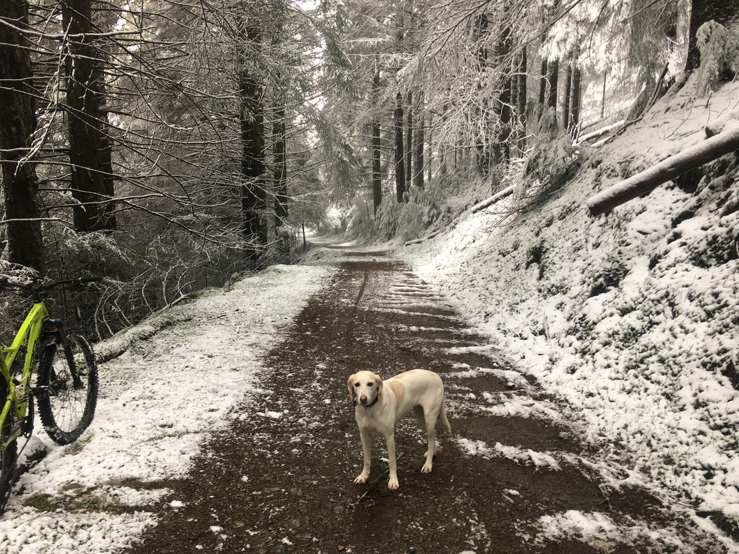 B986F998-2FAC-46D7-A8A7-EE7CD0ECBDD6