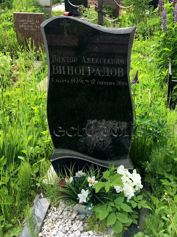 vinogradov-va