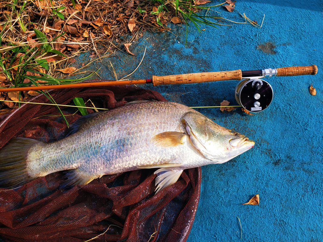 20231105_151326_mh1699367377844