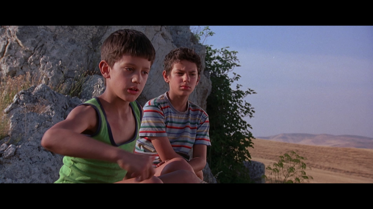 vlcsnap-2024-05-26-20h37m36s014