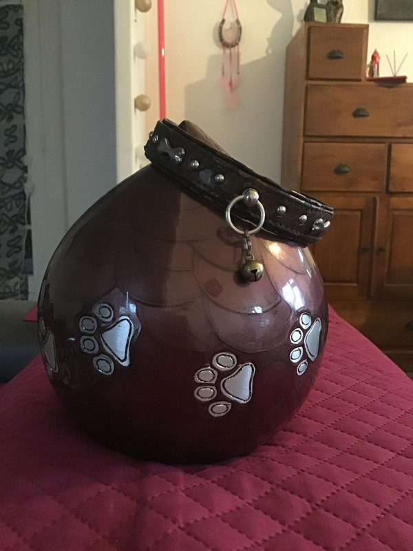 [Image: A2300004-ED55-4438-8-DB4-DBF12424-E83-D.jpg]