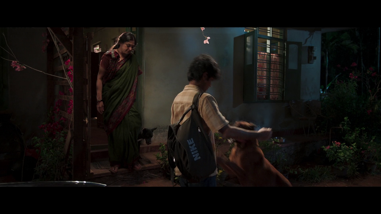 vlcsnap-2025-06-01-15h24m32s385