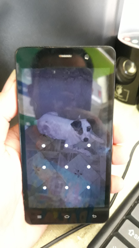 20190124-142800.jpg
