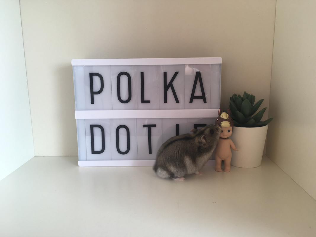 B3EB6B4D-4EEF-42FF-BCD1-65F1997F2214