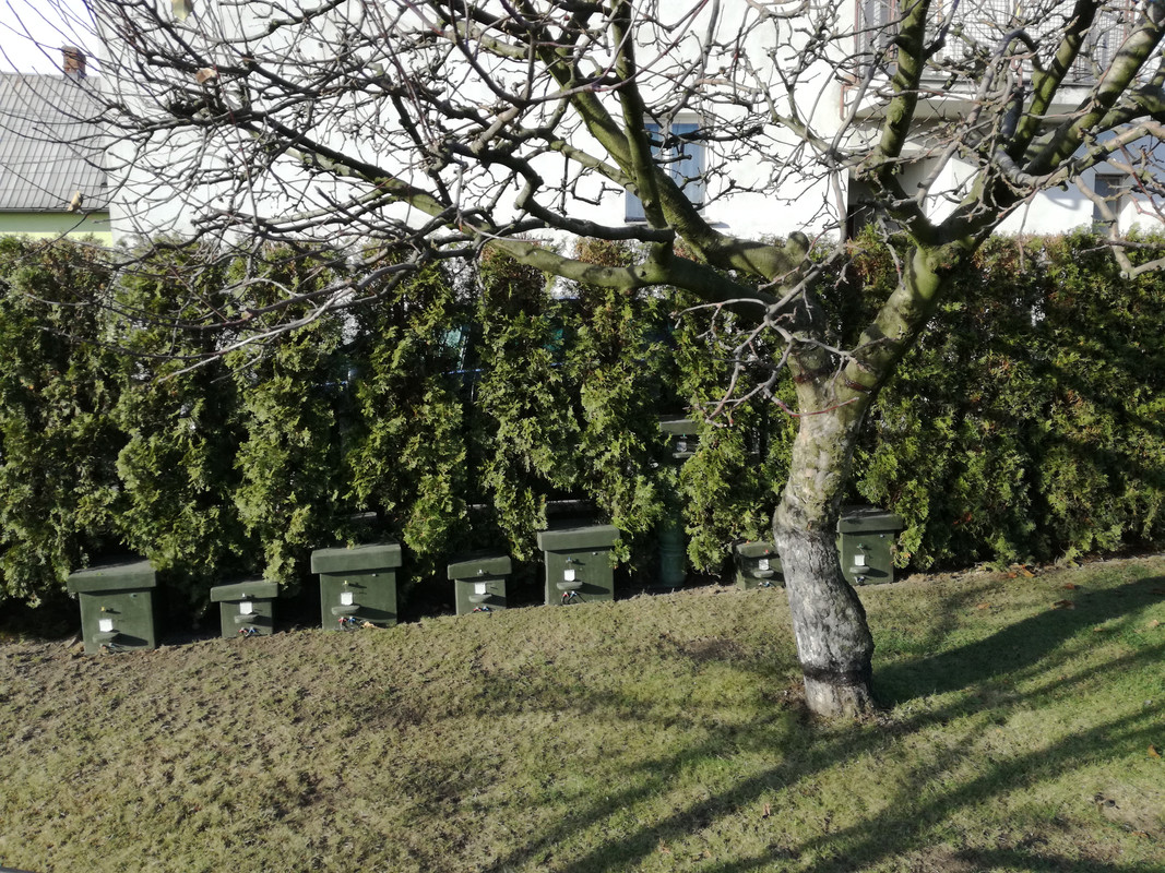 Umístění úlků 2019