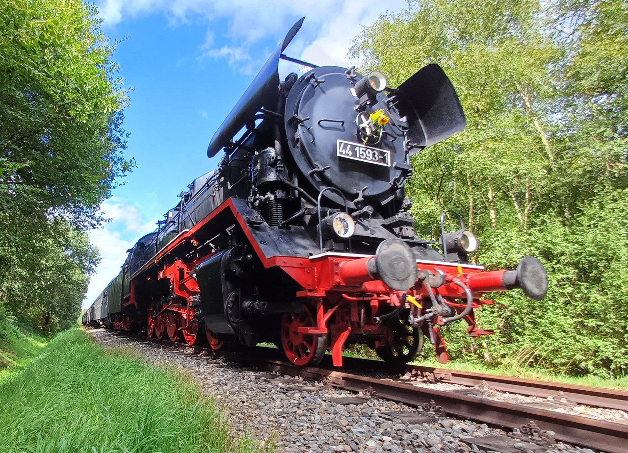 44 159 close up