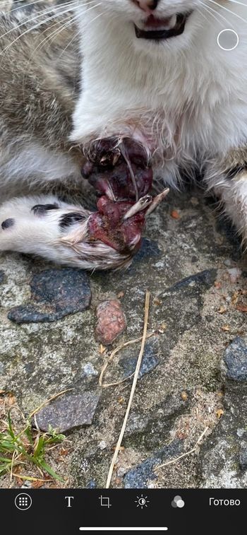 307371205_5455307154505462_1721402185058614409_n