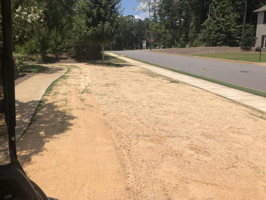 8A015CD4-1365-4107-864D-7D99F68BEA1F