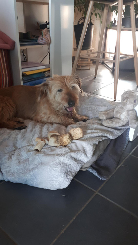 [Image: Resized-20230529-174827-8733.jpg]