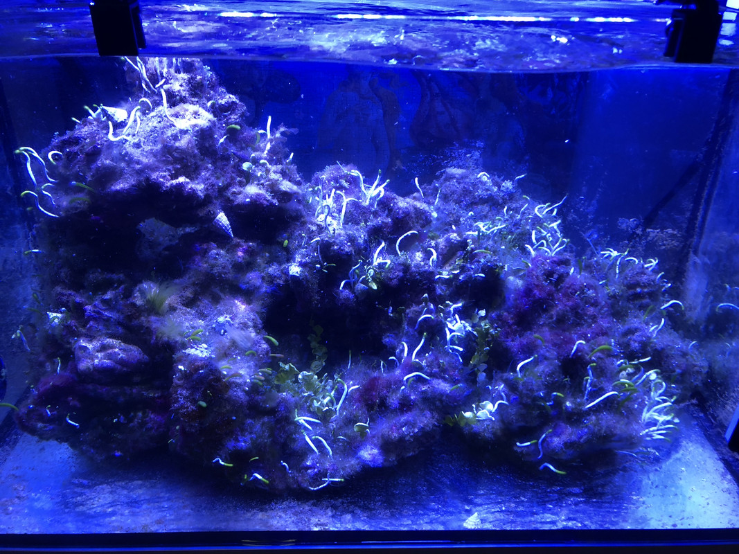 4429B8DB-995C-419A-874A-D9DF19F57D8C