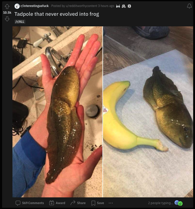 1651809089683.png
