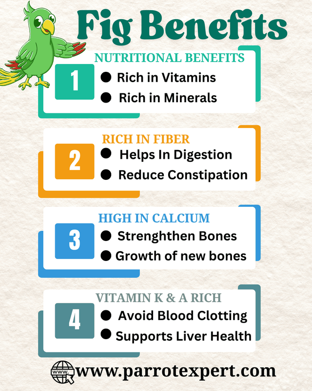 Can Parrots Eat Figs