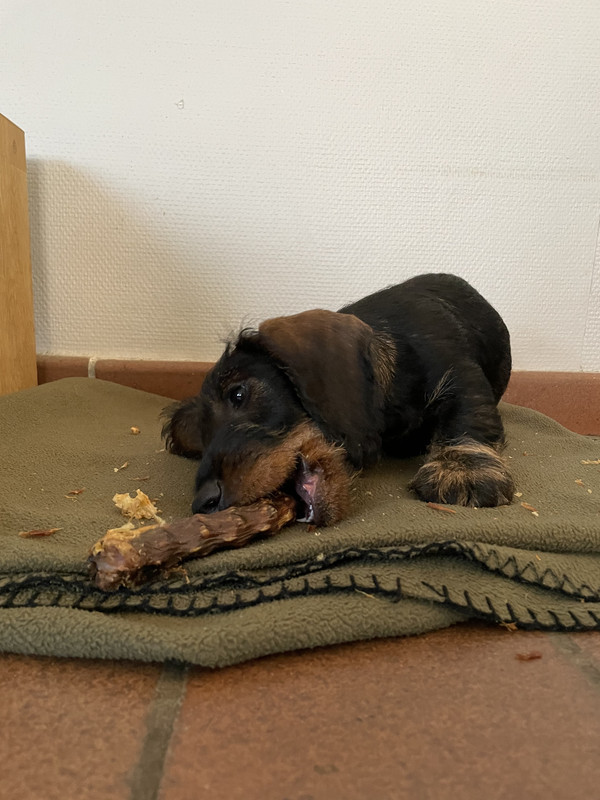 F4712589-B68F-4440-AC28-2068C782A524